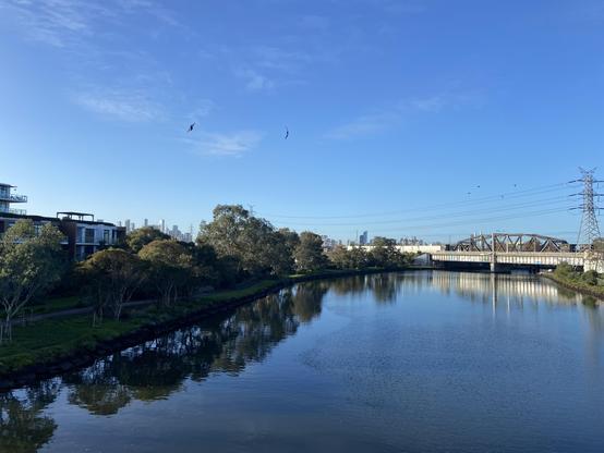 A glassy river under blue skies, with some birds overhead, bushes along the banks, and a city skyline just visible in the distance