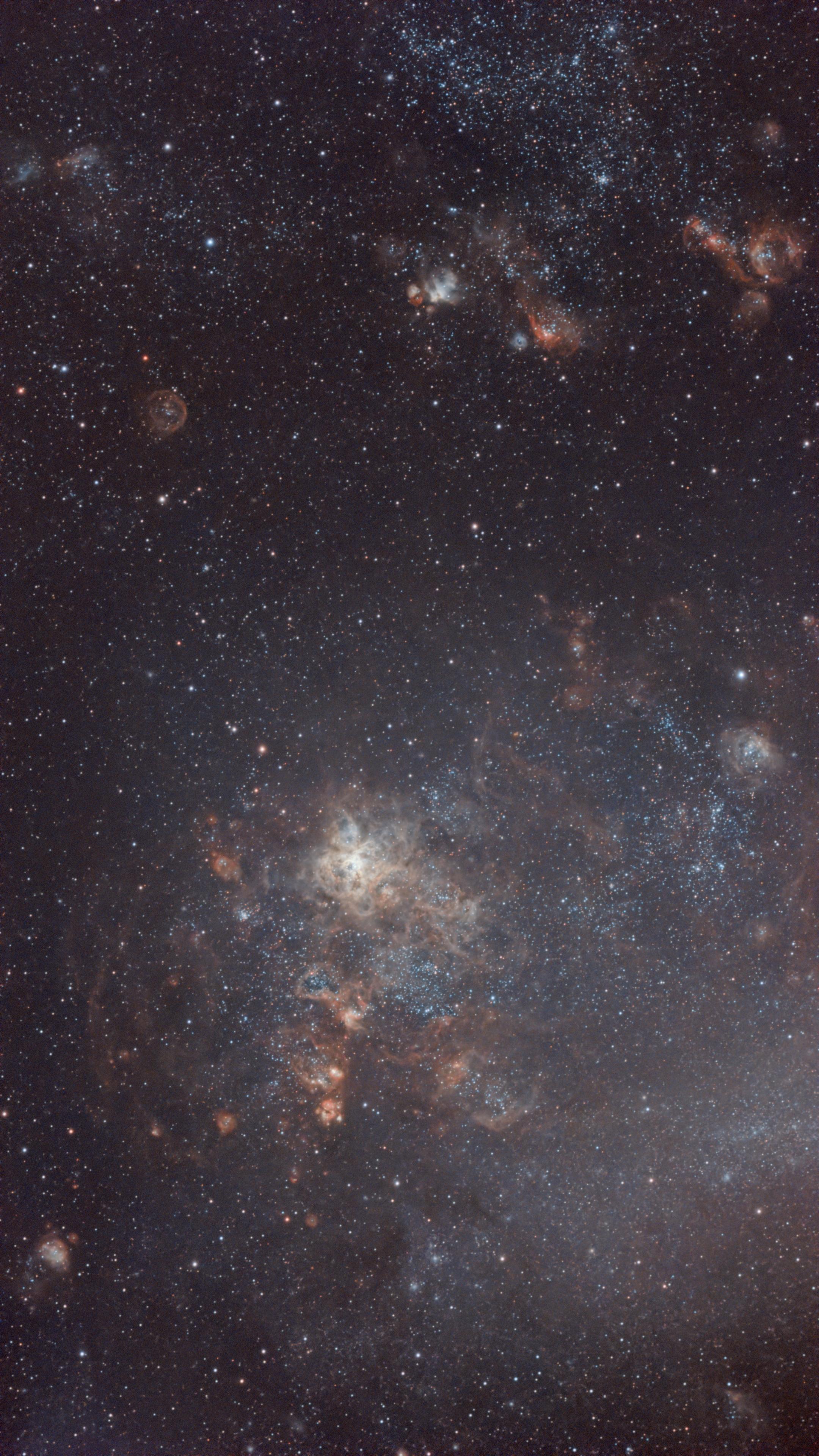 Astrophotograph of part of the Large Magellanic Cloud and the Tarantula Nebula.