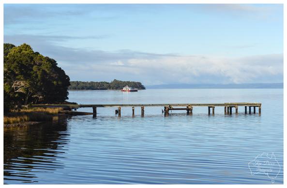 Posted media