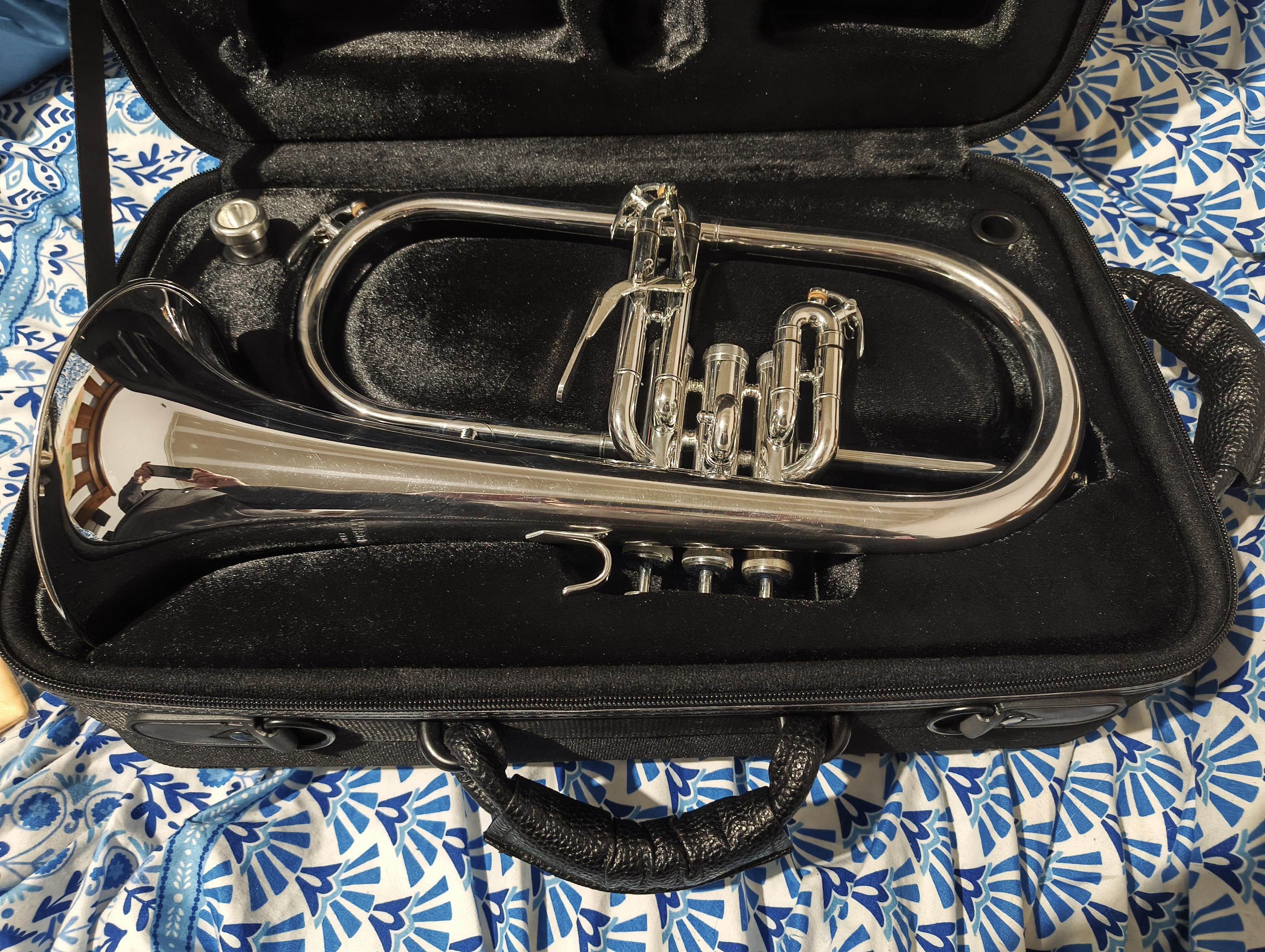 A silver flugelhorn in a black case. It's sitting on my bed which has a blue and white doona cover on it. A flugelhorn is like a cornet but slightly bigger. Very popular with jazz players apparently? So I probably have heard it before!