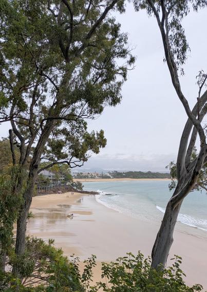 Little Cove Beach, Noosa, viewed from the headland path.