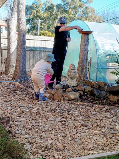 An old man filling the bird bath and a child watering the rocks 