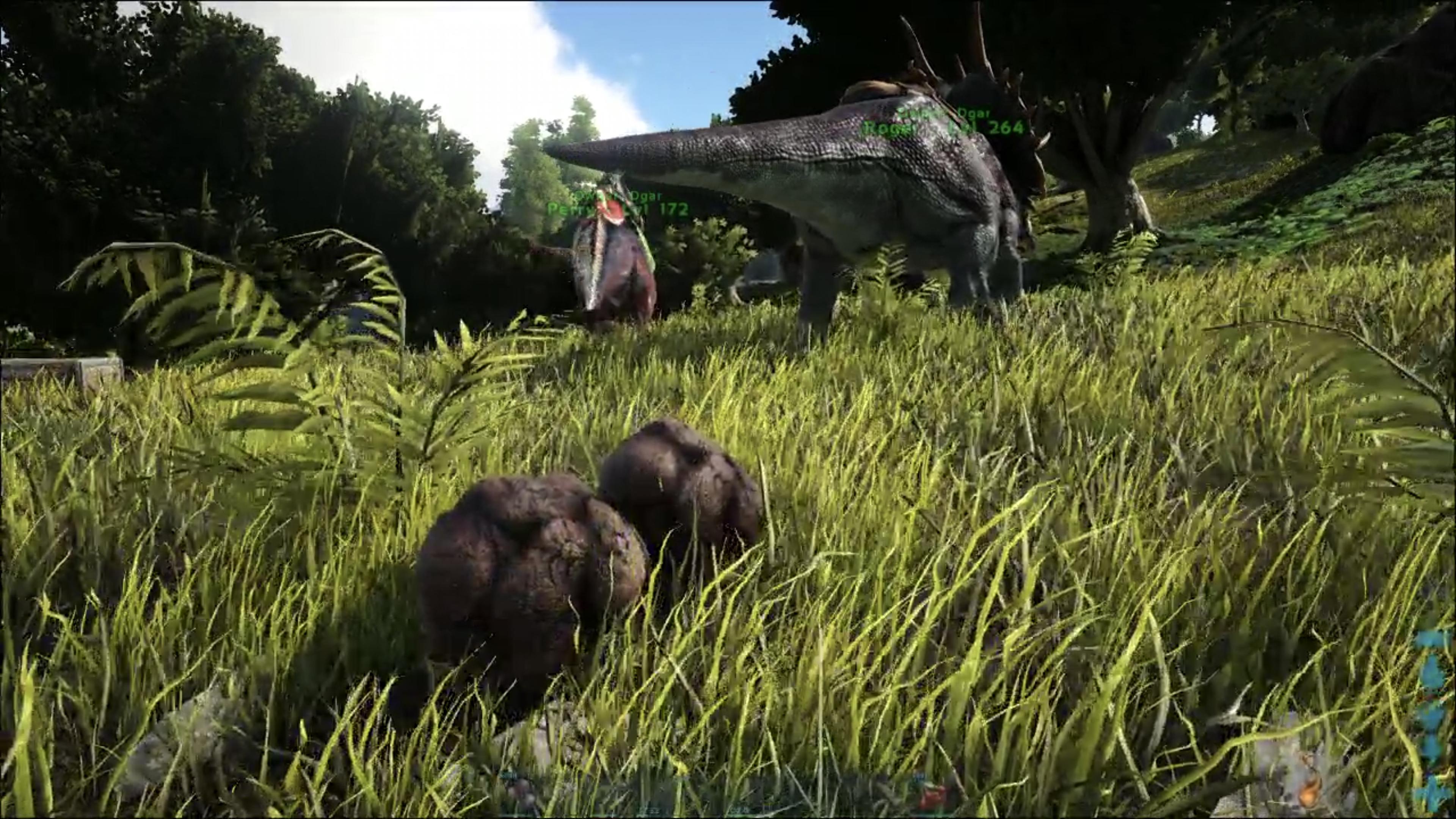 Big Triceratops poops.  Behind, Roger, the Triceratops' behind.  Perry the Parasaur is innocent.