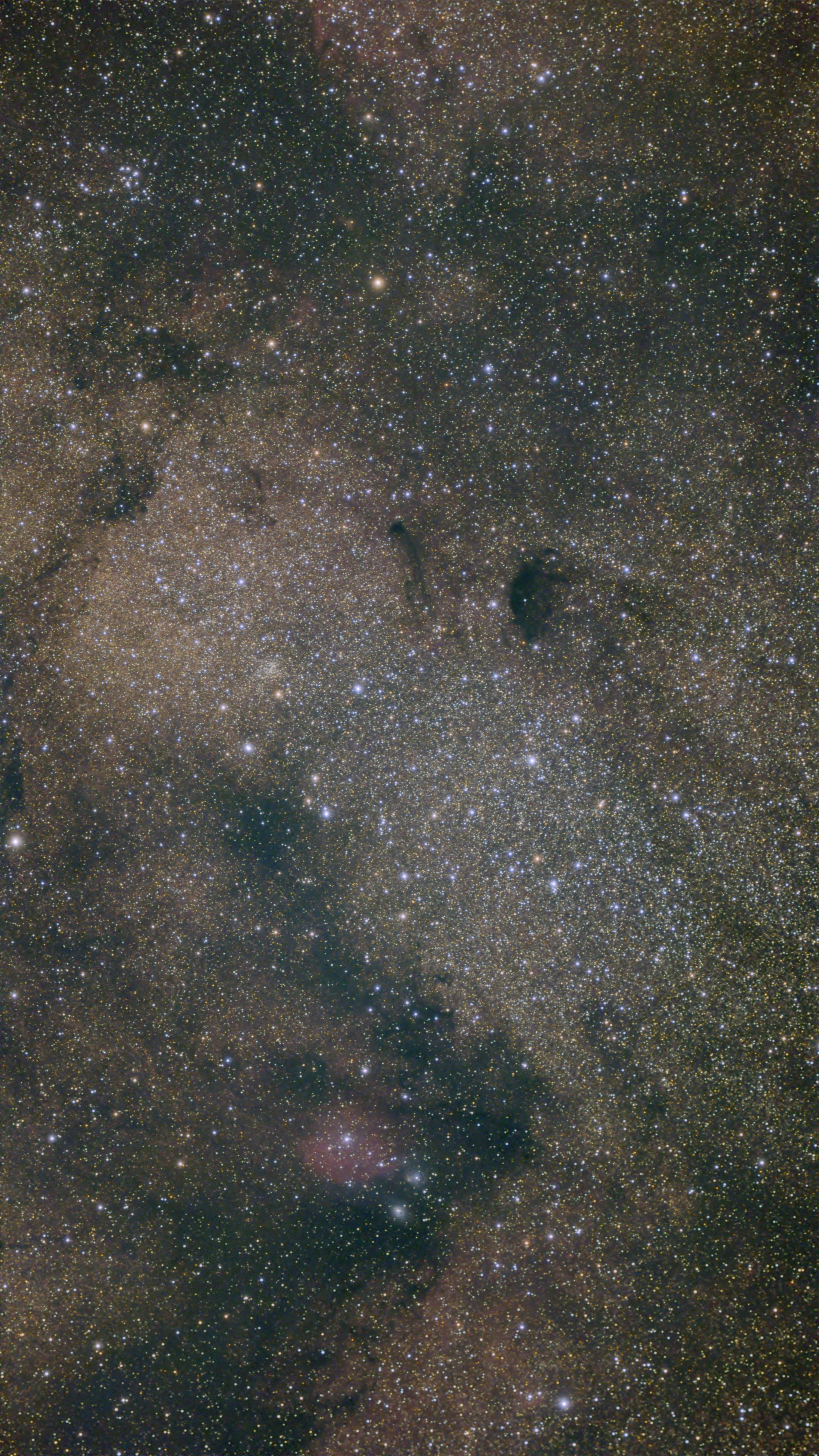 Astrophotograph of a particular dense star field in the Milky Way, with assorted dark dust features and a bit of nebulosity here and there.