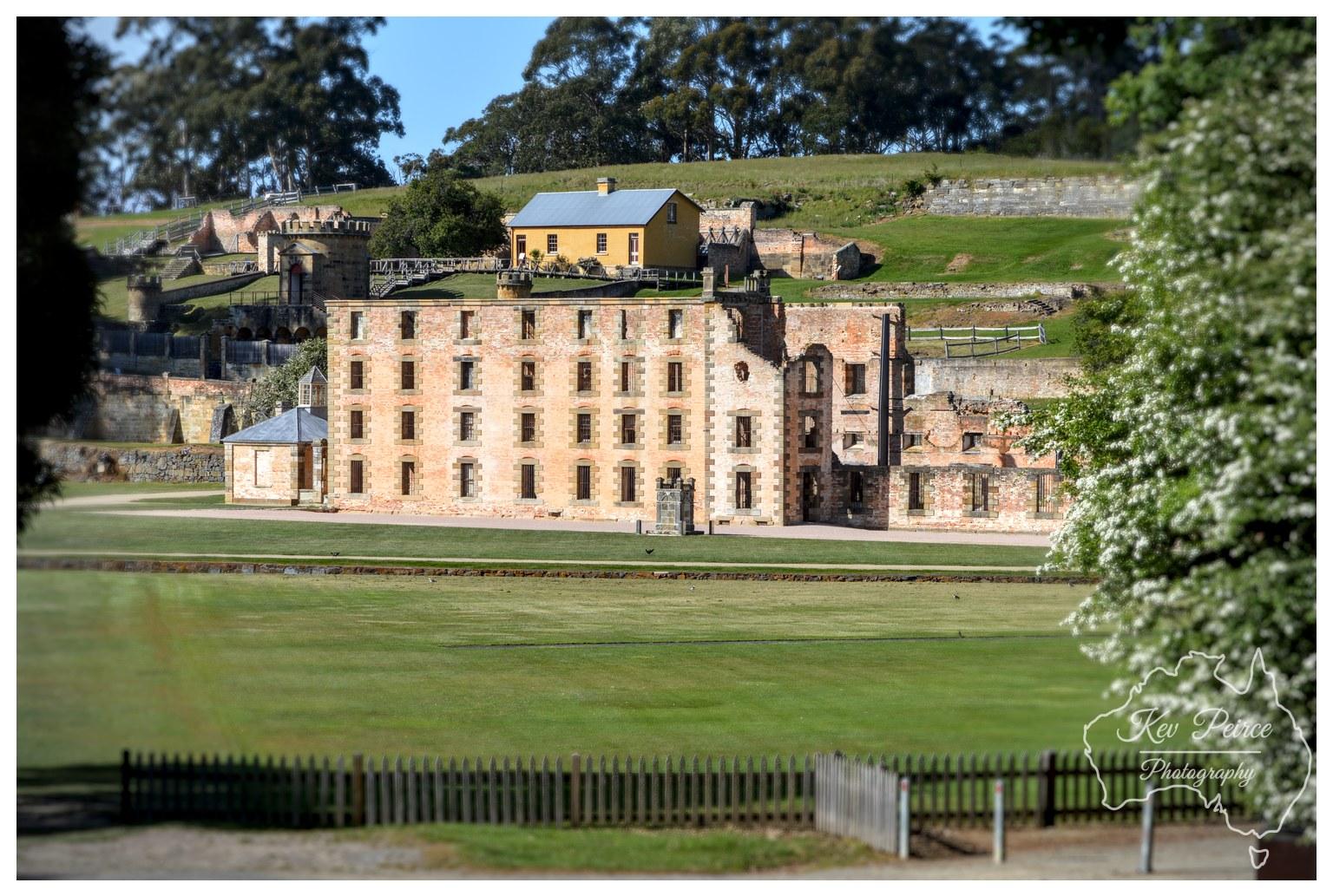 A wide angle shot looking across a vast green lawn toward the massive three storey penitentiary ruins constructed of red and weathered brick. In the background, rolling green hills rise up toward thick eucalypt foliage. In the foreground, a simple wooden picket fence runs horizontally across the bottom, while a leafy white flowering bush partially frames the right side of the frame under bright daylight.