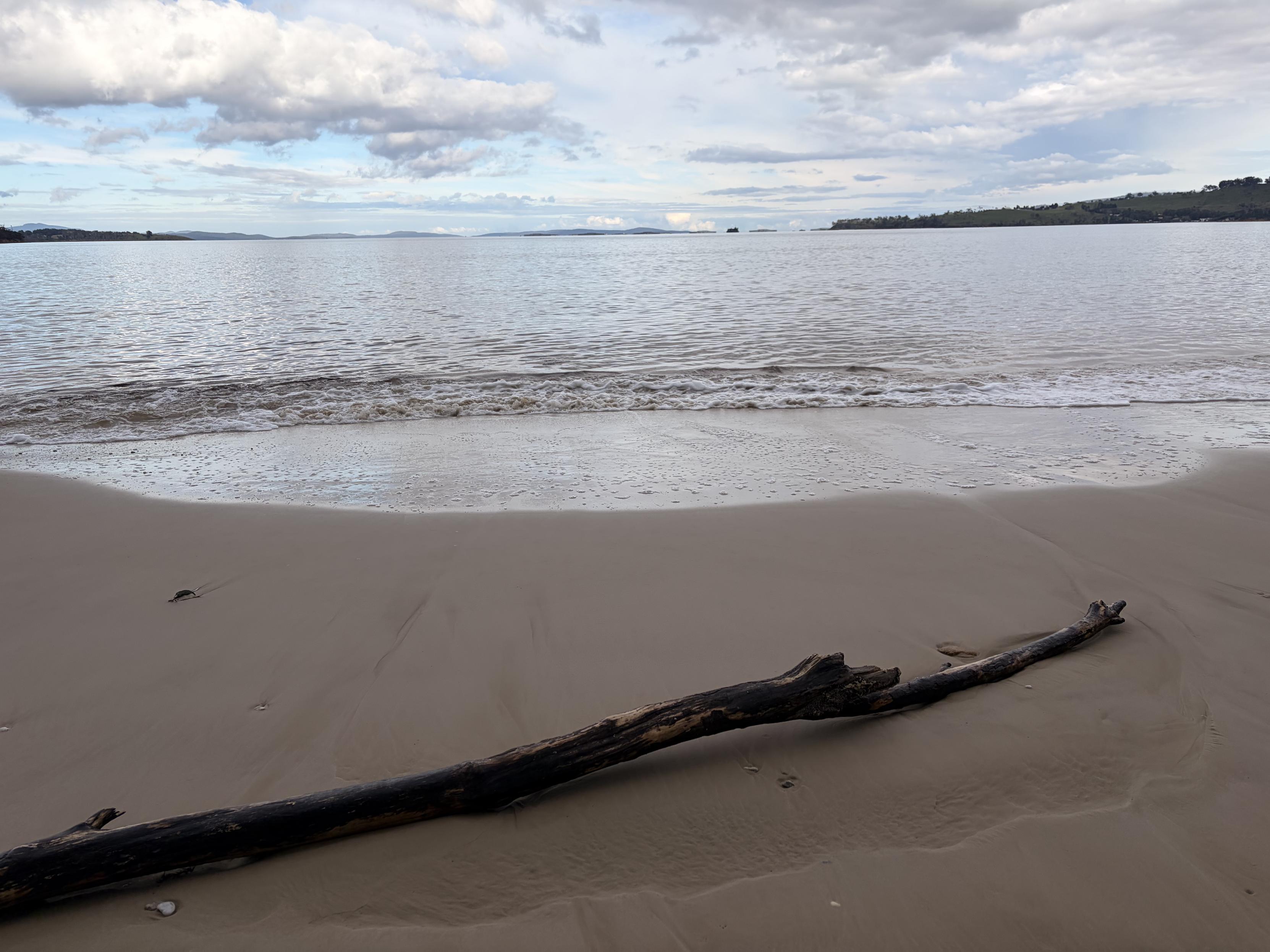 Randalls Bay. The beach. A long branch on the sand. Clouds in sky. Greyish day.