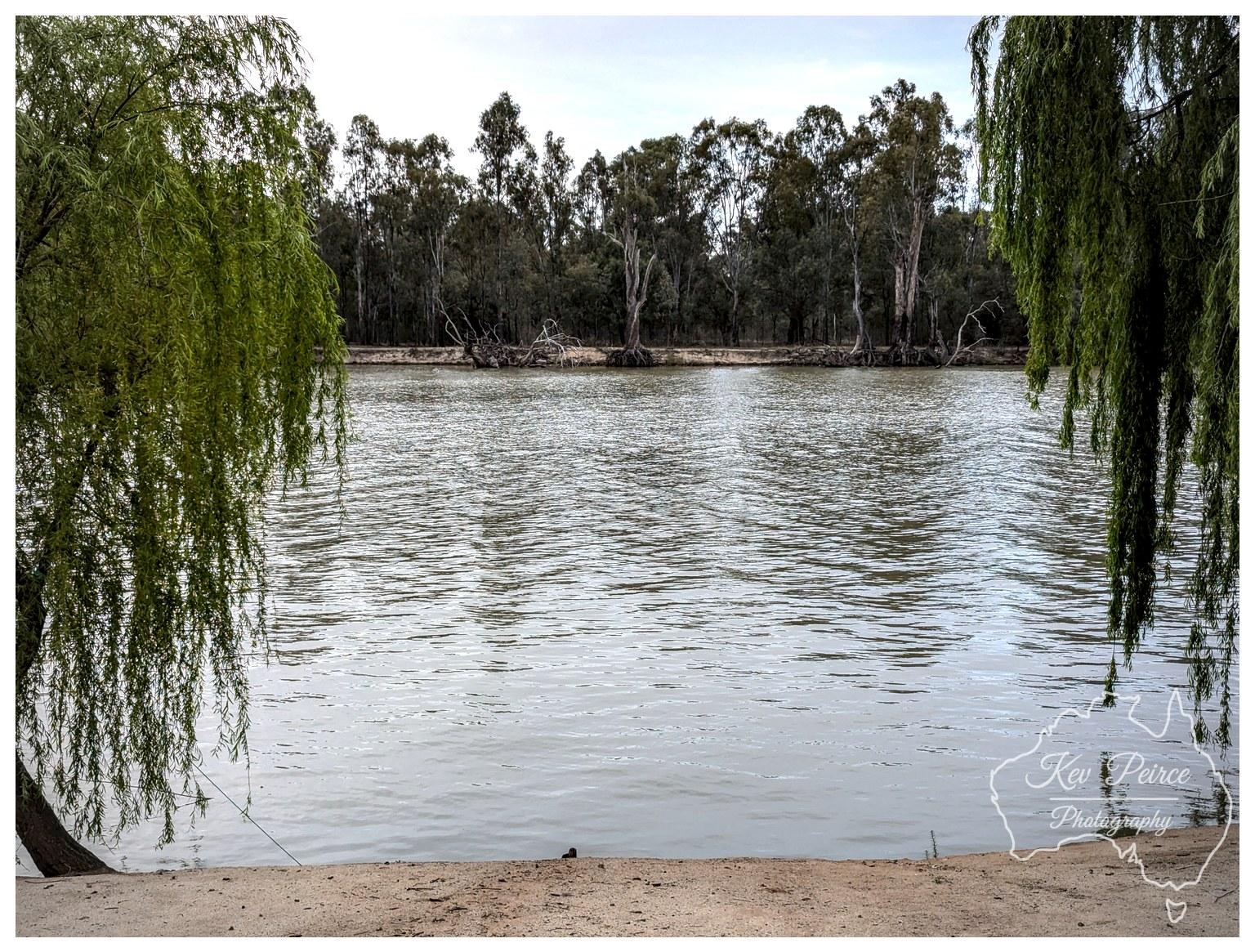 A eye level landscape shot of a wide, murky river flowing horizontally across the frame under an overcast sky. In the immediate foreground, a flat, sandy riverbank stretches along the bottom edge. Lush weeping willow branches drape down on both the far left and right edges, creating a natural green frame around the scene. Across the calm water, the opposite riverbank is lined with tall, slender eucalyptus trees and scattered fallen timber. Diffused, soft daylight casts subtle ripples across the surface of the river. A watermark featuring an outline map of Australia sits in the lower right corner.