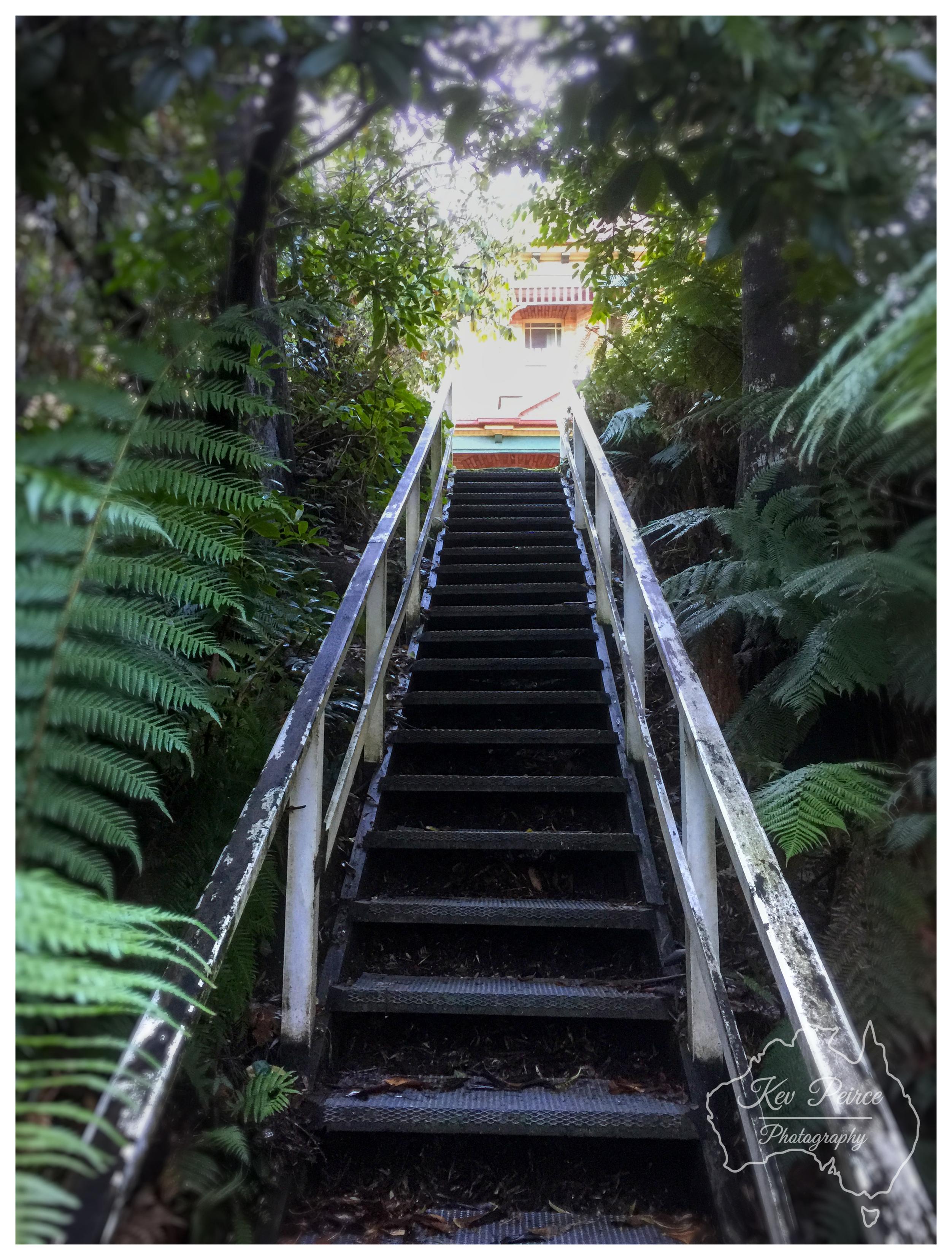 A vertical shot looking up a long, narrow flight of metal steps flanked by weathered white railings with peeling paint. Dense green fern fronds and rainforest trees frame the staircase on either side, casting deep shadows over the steps. At the top of the stairs, bright natural light shines behind the upper storey of a building. A map outline watermark is located in the bottom right corner.
