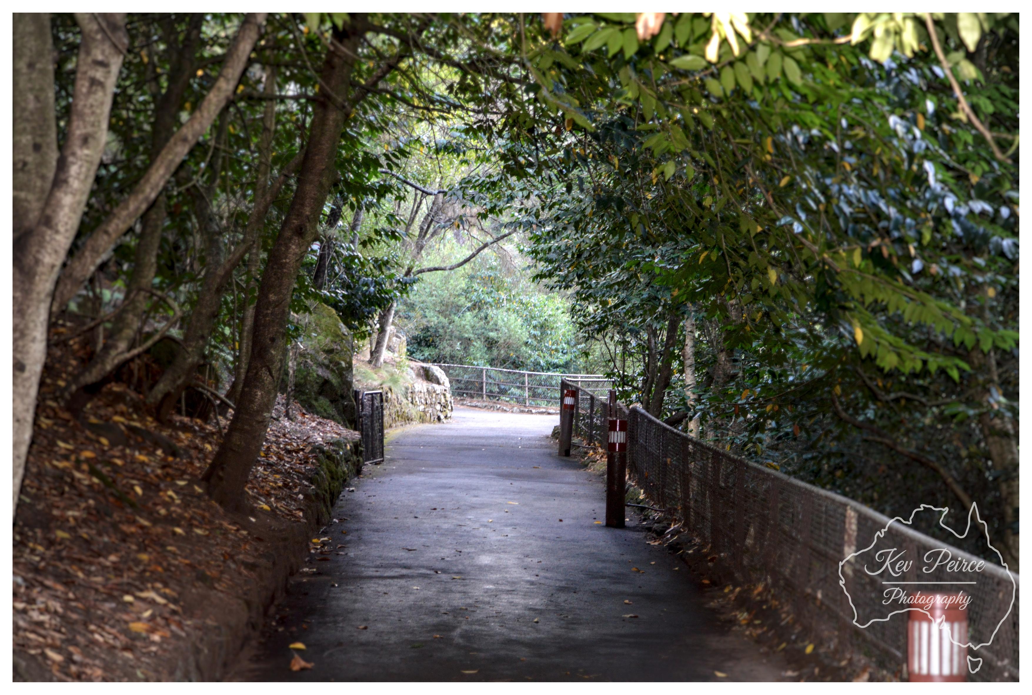 An eye level photograph of a paved walking path winding through a shaded bush land setting. The pathway leads from the foreground towards a bright opening in the background, sheltered beneath a leafy green tree canopy. On the left, a sloped earthen bank is scattered with golden fallen leaves and slender tree trunks. Along the right, a wire mesh fence with safety bollards lines the edge of the trail. Natural daylight filters through the foliage, creating pockets of soft light on the asphalt surface. A subtle Australia outline watermark is present in the lower right corner.