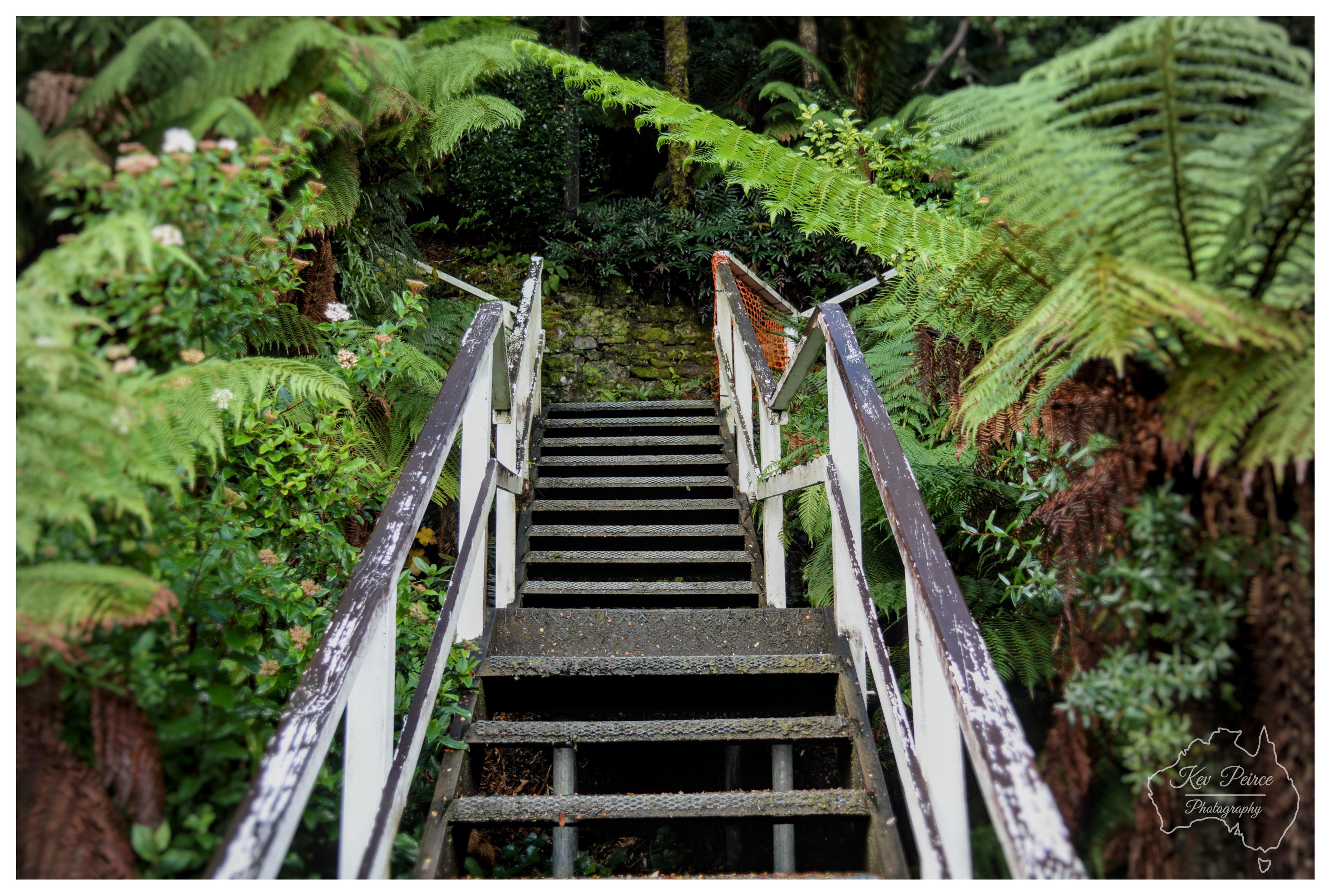 A straight, centred perspective looking up a set of weathered metal stairs with painted white handrails that show signs of peeling dark paint. Vibrant, large green tree ferns frame both sides of the staircase, partially overhanging the steps. Soft, diffused outdoor light creates a calm atmosphere across the scene. A map outline watermark is visible in the bottom right corner.