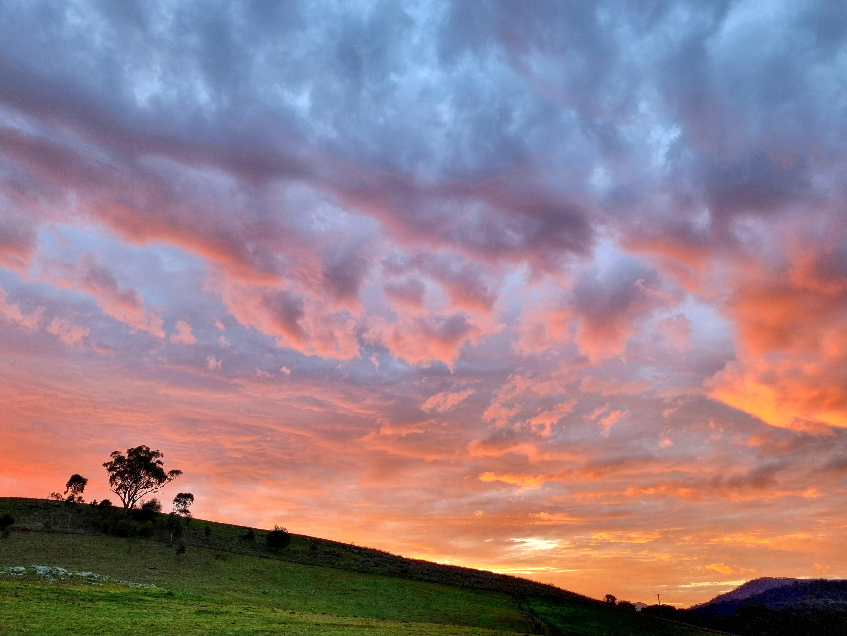 The green grass flows back to a hill with a tree or two standing in defiance. The cloudy sky is orange and pinks on fluffy bottoms and grey higher up.
