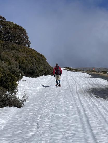 A person with snowshoes walks along a snowy trail under blue skies with bushes to the side