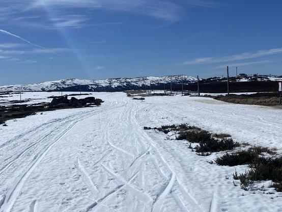 Ski tracks across a snowy field. A snow covered mountain is visible in the distance under blue skies.