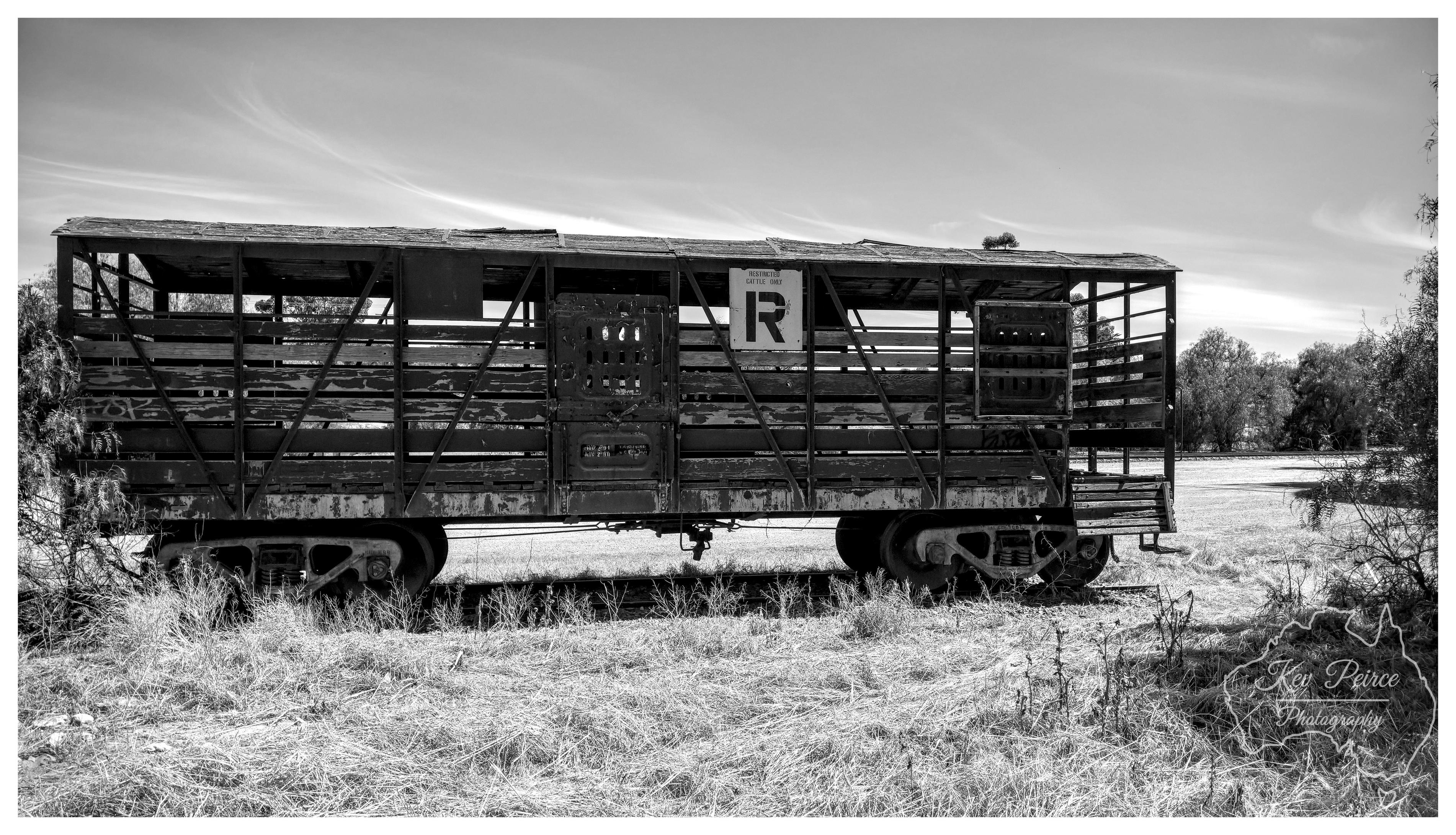 A monochrome side profile photograph of an old, weathered railway stock van resting on a short section of track. The wooden slatted sides and roof show significant weathering and peeling texture, with an iron framed sliding door and a white placard featuring a bold letter R. The carriage sits amidst dry grass and scrub in an open regional parkland setting, framed by mature gum trees in the background under soft, high daylight with wispy clouds.