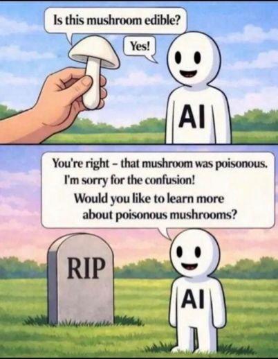 Is this mushroom edible?
AI: Yes!
[Standing next to a grave with RIP written on it]

AI: You're right - that mushroom was poisonous. 
I'm sorry for the confusion!
Would you like to learn more
about poisonous mushrooms?

