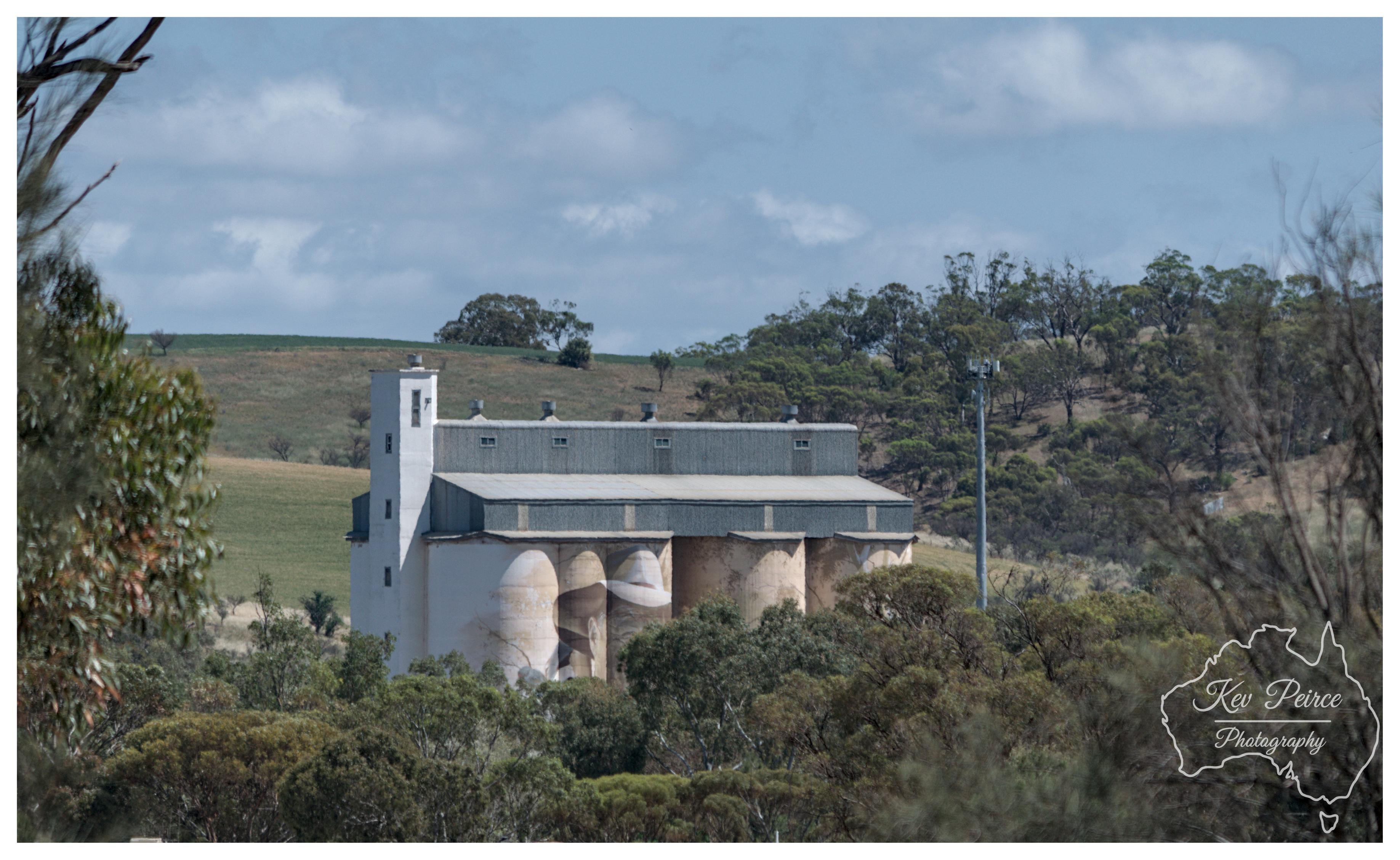 A daytime, eye level shot of a rural grain silo complex featuring white and grey concrete structures, partially obscured by green trees and native foliage in the foreground and middle ground. Rolling green hills and a telecom tower sit in the background beneath a blue sky filled with scattered white clouds, with a watermark in the lower right corner.