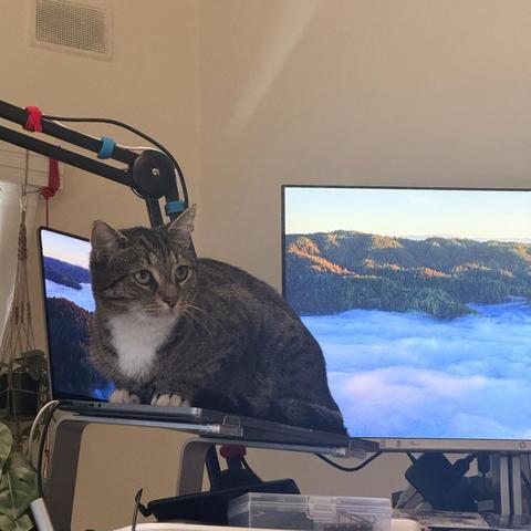 Posted media