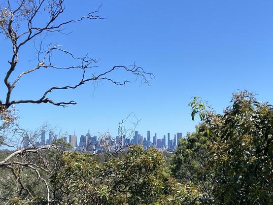 A city skyline viewed over trees under a cloudless blue sky.